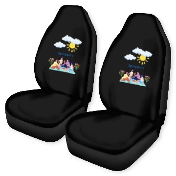 Discover Spring picnic 1 Car Seat Covers