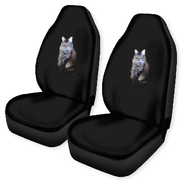 Discover Indie the Cute Cat Car Seat Covers