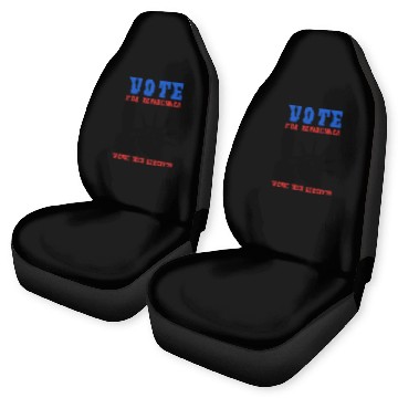 Discover Vote for Democracy, Vote for Liberty US Election Car Seat Covers