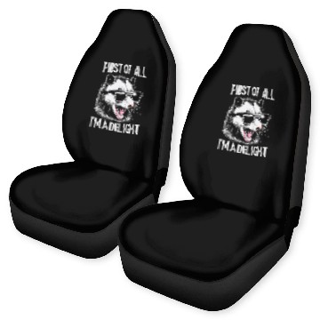 Discover First of All, I'm a Delight – Funny Opossum Meme Car Seat Covers