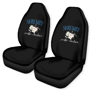 Discover Serenity, SC Raglan Baseball Car Seat Covers