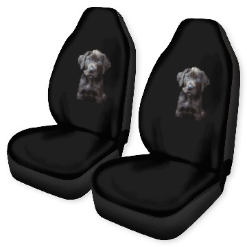 Discover Great Dane Car Seat Covers