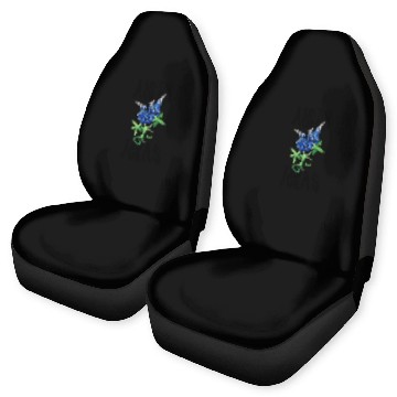 Discover Austin Texas Car Seat Covers