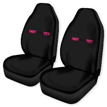 Discover Not Done Yet! Car Seat Covers
