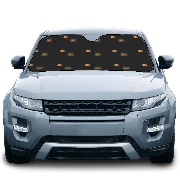 Discover Houston N3 Eras Tour Surprise Songs PackActive Car Sun Shades