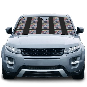 Discover eras tour Car Sun Shades