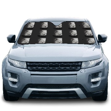 Discover female rage the musical eras tour 1 Car Sun Shades