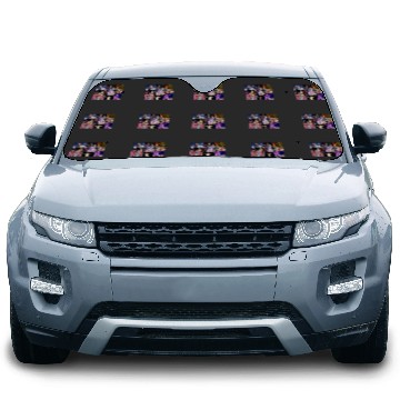 Discover eras tour!! Active Car Sun Shades