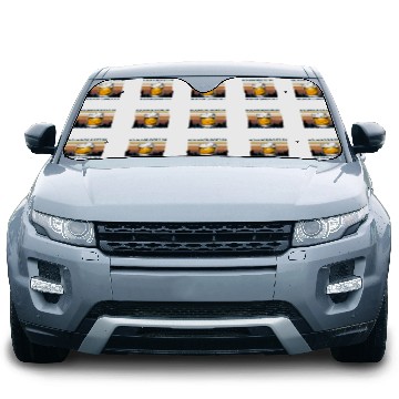 Discover Bourbon Goes In Wisdom Comes Out Vintage Car Sun Shades
