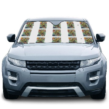 Discover Teenage mutant ninja turtles Car Sun Shades