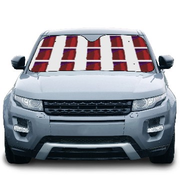 Discover Magneto Mutant Human Costume, runDisney 3D Car Sun Shades