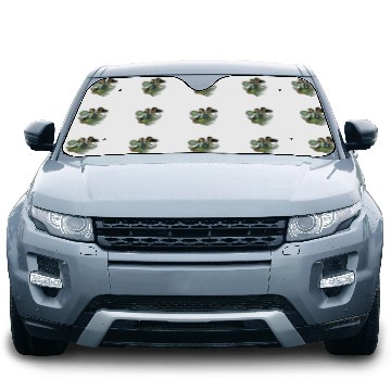 Discover Disney Peter Pan Wendy Tiger Lily Tinker Bell Po Car Sun Shades