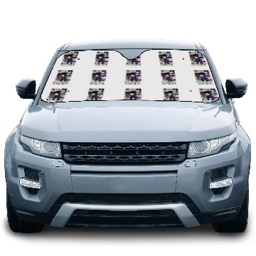 Discover Charles leclerc eras tour 3D Car Sun Shades