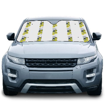 Discover CHI Town 4 - Wnba - Car Sun Shades