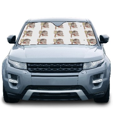 Discover Disneyss Snow White And The Seven Dwarfs Grumpy Padre Zip Car Sun Shades