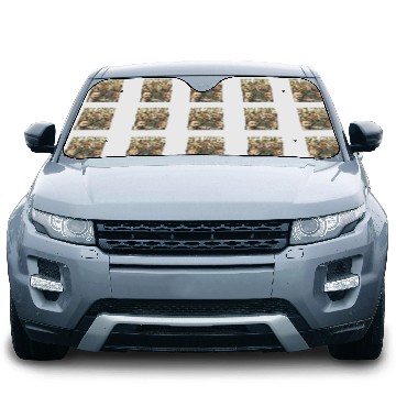 Discover Rick Grimes Vintage Car Sun Shades