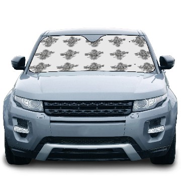 Discover 1985 - when legends... Car Sun Shades