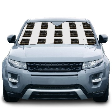 Discover Explorateur des Appalaches Car Sun Shades essentiel