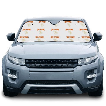 Discover Guitarist Jimi Hendrix Guitar Car Sun Shades