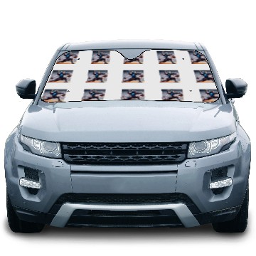 Discover Sport Baseball A Samurai In Full Armor Professional Baseball Pitcher Baseball Tees Car Sun Shades