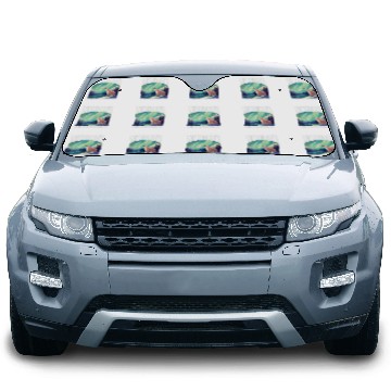 Discover Bear Pet Northern Lights Aurora Borealis Polar Bear Car Sun Shades