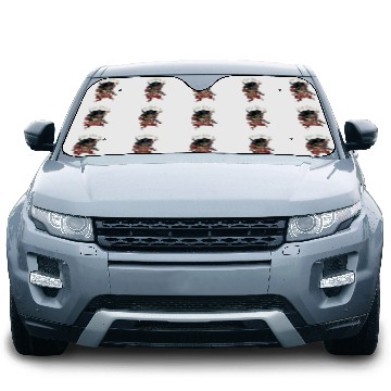 Discover Live Like A Pirate 2creepy skull and tentacles C Car Sun Shades