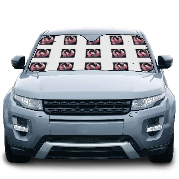 Discover Elegant Geishas Journey Japan Vector Car Sun Shades