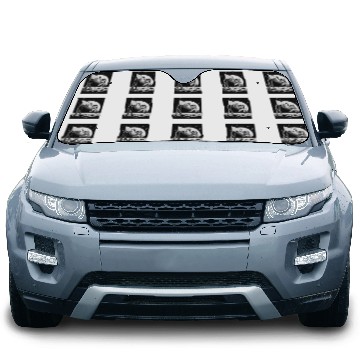 Discover Lunar Outer Space Slam Dunks Astronaut Basketball Car Sun Shades