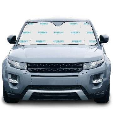 Discover Reading Teacher Reading Coachs Literacy Squad Car Sun Shades