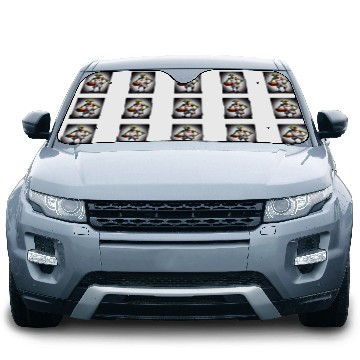 Discover Zombie Basketball player Zip Car Sun Shades