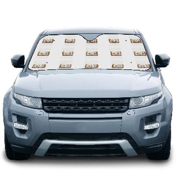 Discover History Teacher Student History Professor History Buff Car Sun Shades