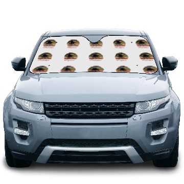 Discover Retired Professor Retirement Gift Beach Car Sun Shades