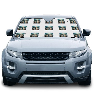 Discover F14 Tomcat Navy Fighter Jet Naval Strike Fighter Car Sun Shades