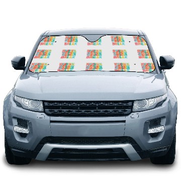 Discover Spring Break Women College Student Florida Beach Trip Car Sun Shades
