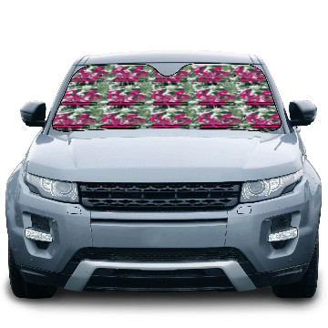 Discover Big Sis loading - Big Sister loading - Pregnancy Car Sun Shades