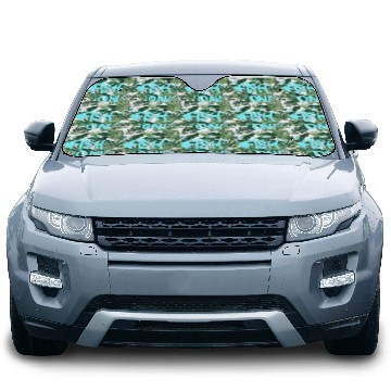 Discover Fish on Fisherman Bone Gift Car Sun Shades