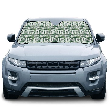 Discover Detroit Lions 0 16 Yes We Can Car Sun Shades
