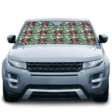 Discover Lesbian Phoenix Support Design Colors Of Lesbian Car Sun Shades