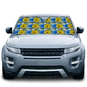 Discover Stand With Ukraine Car Sun Shades