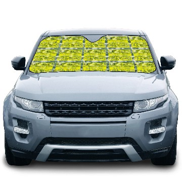 Discover Piercing Work Tattoo Studio Car Sun Shades