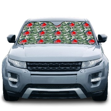 Discover USA Turkey friendship flags design Car Sun Shades