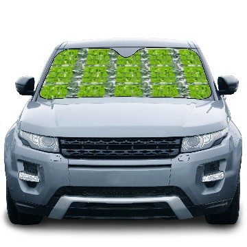 Discover mental health matters quote Car Sun Shades