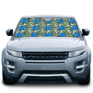 Discover Chemical Element Na Cl Car Sun Shades, Don't Be So Salty