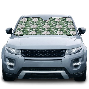 Discover Anne of Green Gables kindred Car Sun Shades