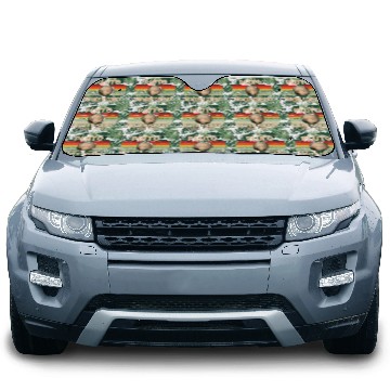 Discover Pluto Never Forget 1930 - 2006 Car Sun Shades