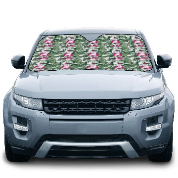 Discover Cruise Ship Vacation Friends Car Sun Shades
