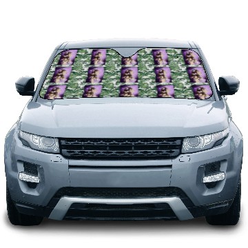 Discover BTS Butterfly Fan Girl Car Sun Shades