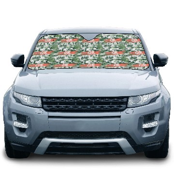 Discover Trick Or Treat Car Sun Shades
