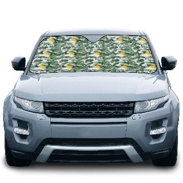 Discover Meteorologist In The Making Meteorology Storm Car Sun Shades