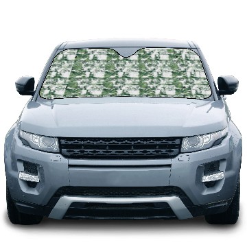 Discover Parkour Free Running Traceur Car Sun Shades
